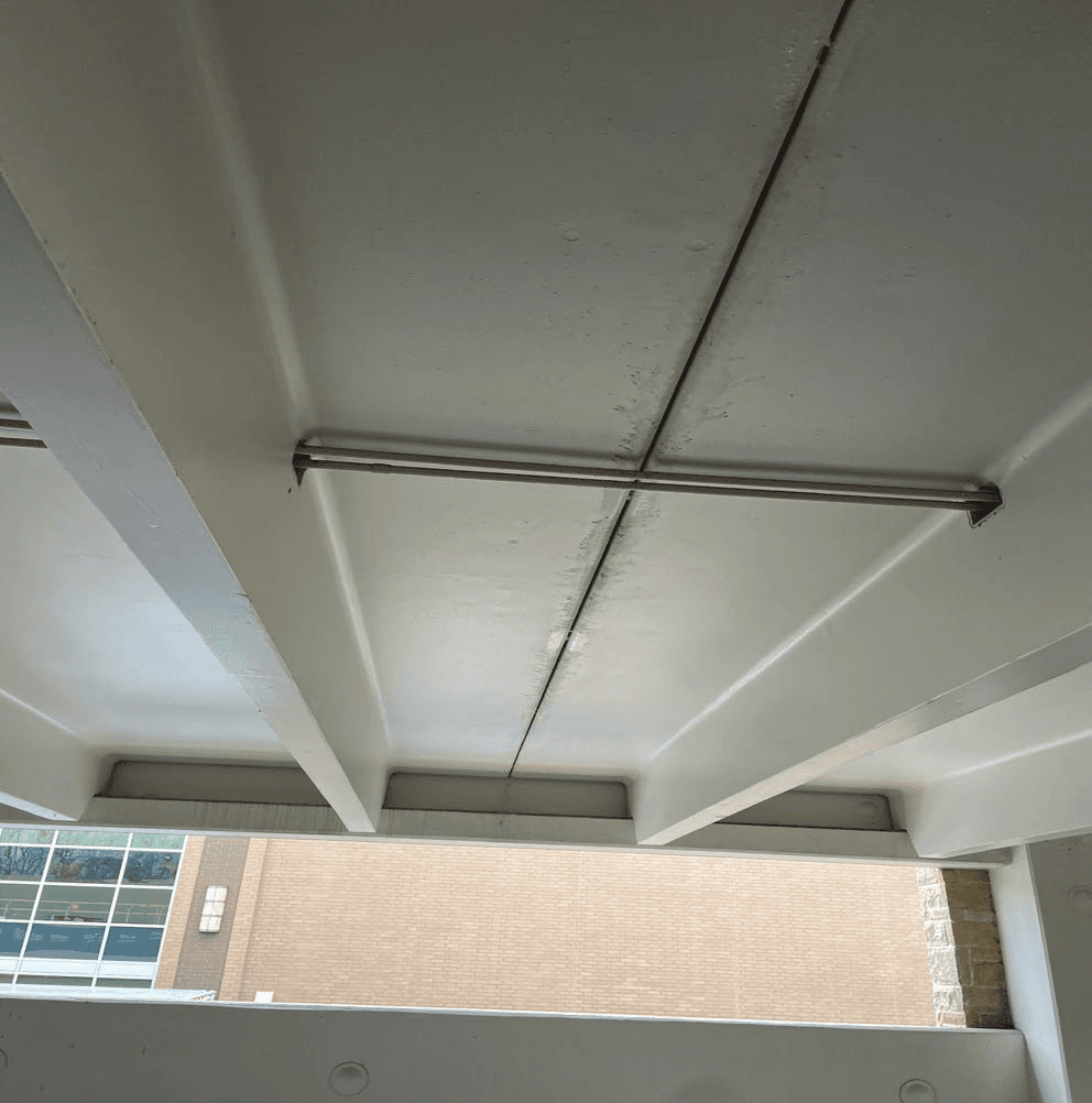 Mayne Construction team